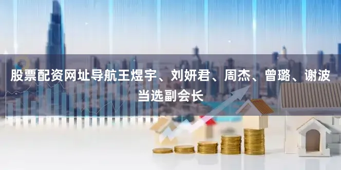 股票配资网址导航王煜宇、刘妍君、周杰、曾璐、谢波当选副会长