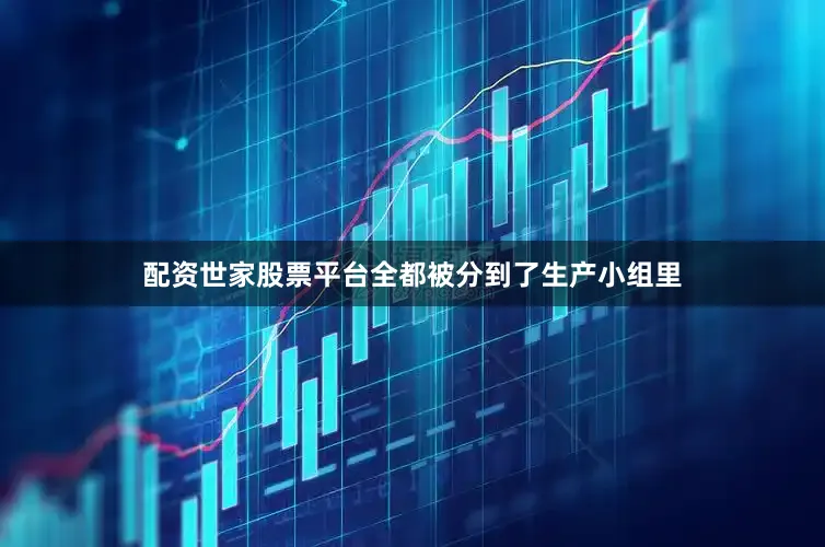 配资世家股票平台全都被分到了生产小组里