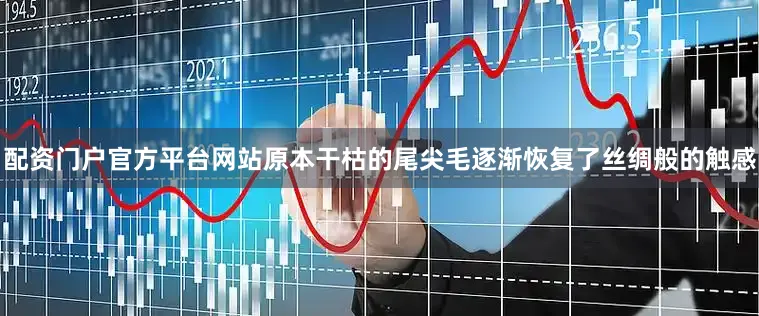 配资门户官方平台网站原本干枯的尾尖毛逐渐恢复了丝绸般的触感