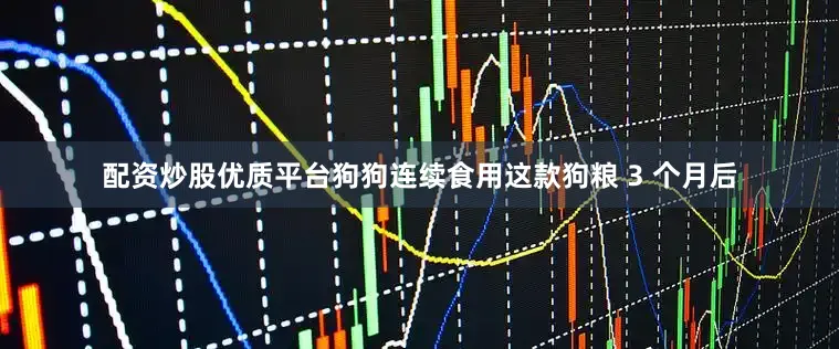 配资炒股优质平台狗狗连续食用这款狗粮 3 个月后
